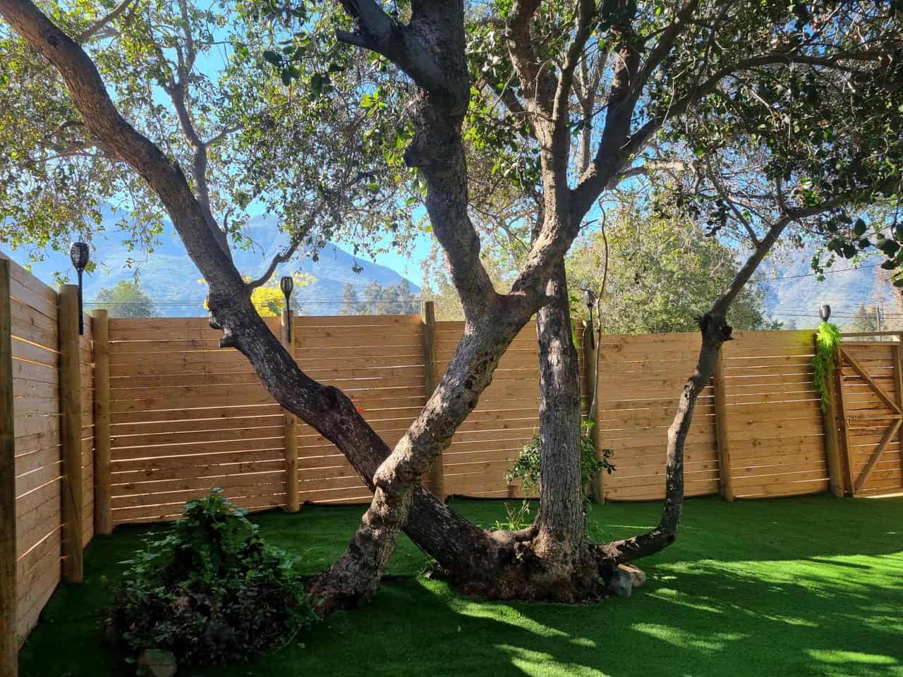 Jardín privado con árbol centenario y vista al Cerro La Campana