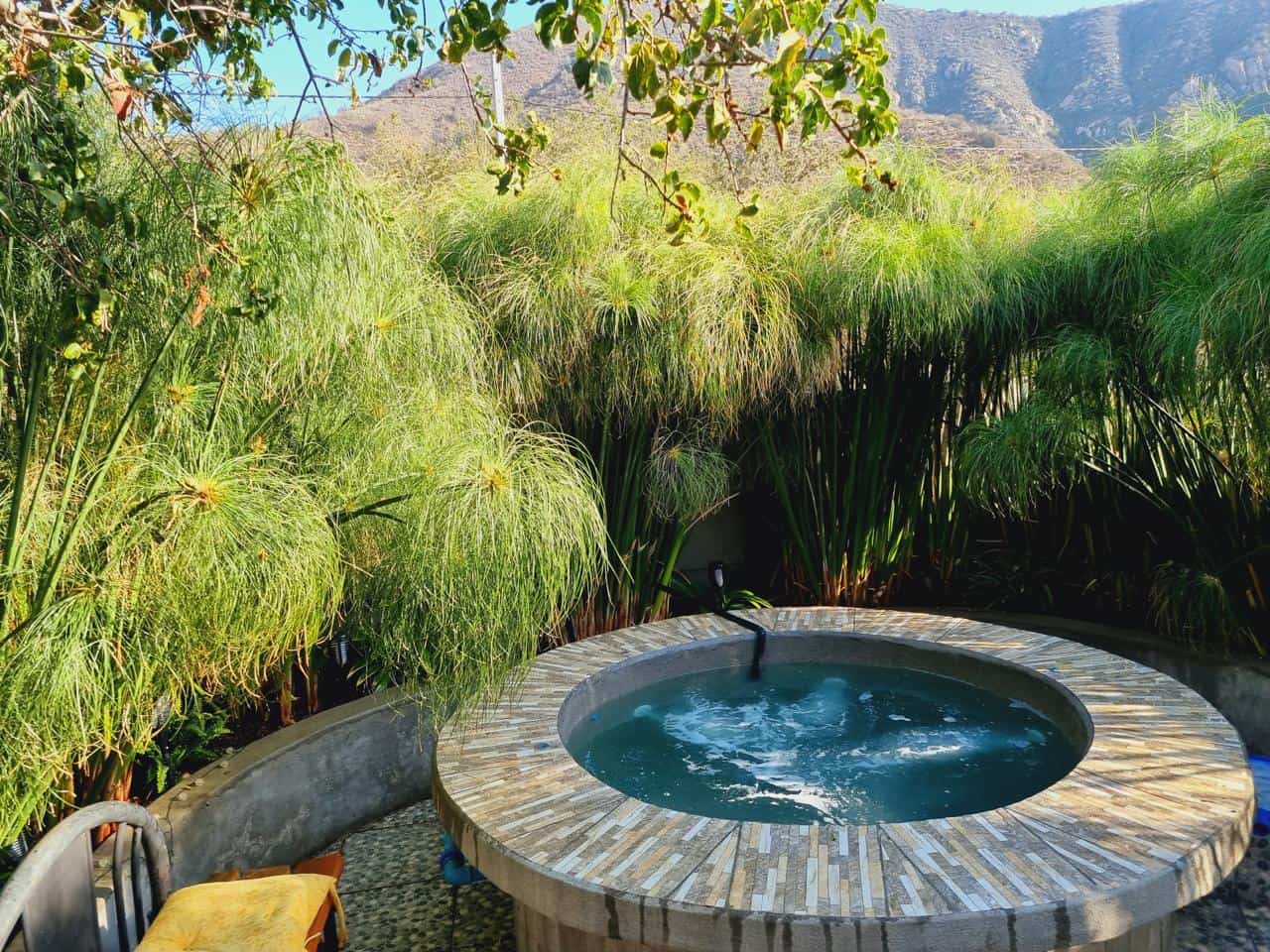 Tinaja privada de agua caliente rodeada de papiros, con los cerros de Olmué al fondo